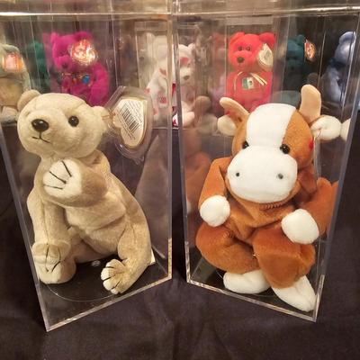 Assorted Beanie Baby Collectibles in Cases ( BDB-JS)