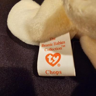 Assorted Beanie Baby Collectibles in Cases ( BDB-JS)