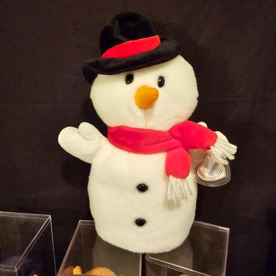 Assorted Beanie Baby Collectibles in Cases ( BDB-JS)
