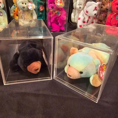 Assorted Beanie Baby Collectibles in Cases ( BDB-JS)