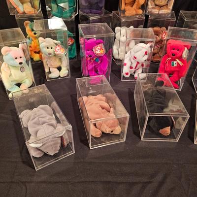 Assorted Beanie Baby Collectibles in Cases ( BDB-JS)
