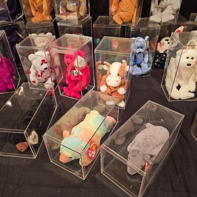 Assorted Beanie Baby Collectibles in Cases ( BDB-JS)