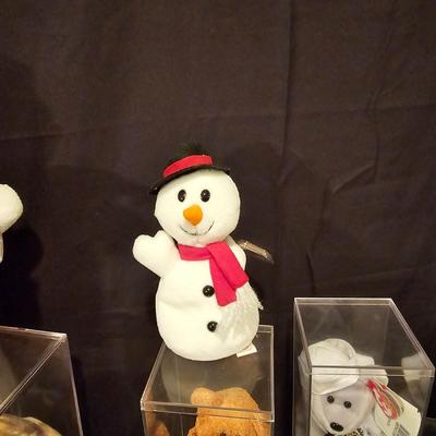 Assorted Beanie Baby Collectibles in Cases ( BDB-JS)