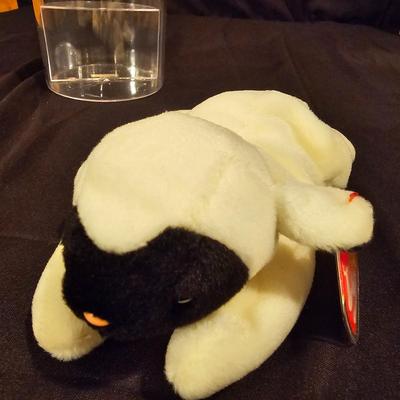 Assorted Beanie Baby Collectibles in Cases ( BDB-JS)