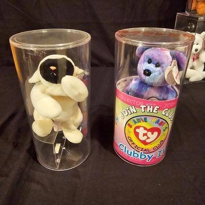 Assorted Beanie Baby Collectibles in Cases ( BDB-JS)