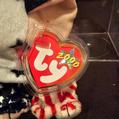 Assorted Beanie Baby Collectibles in Cases ( BDB-JS)