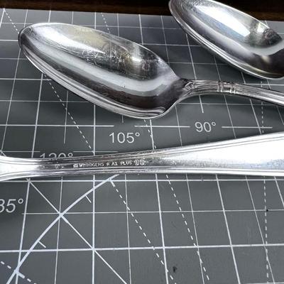 WM Rogers Silver Plated Set of Service for 12 with some serving. 
