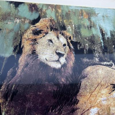 Framed and Matted Lion print