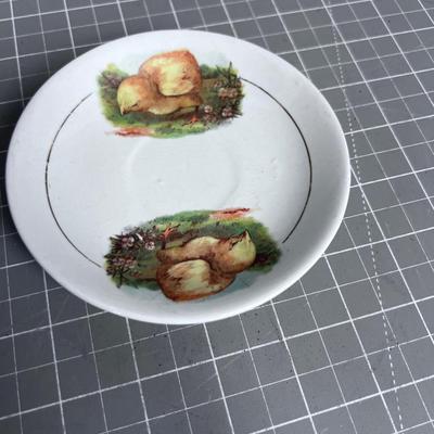 Antique Demitasse CHICK Cup & Saucer, CUTE! 