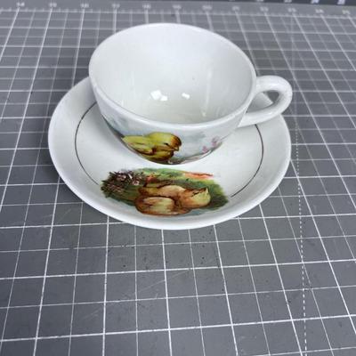 Antique Demitasse CHICK Cup & Saucer, CUTE! 