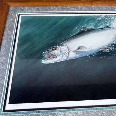 Sockeye Salmon Print Framed NICE! 
