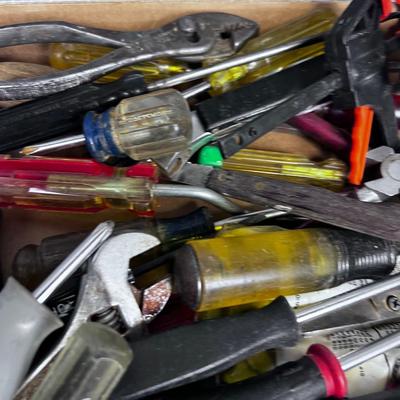 Tray of Tools 