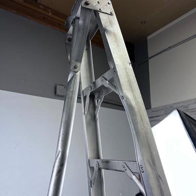 Tree Ladder or Fruit Ladder - 8 Foot 
