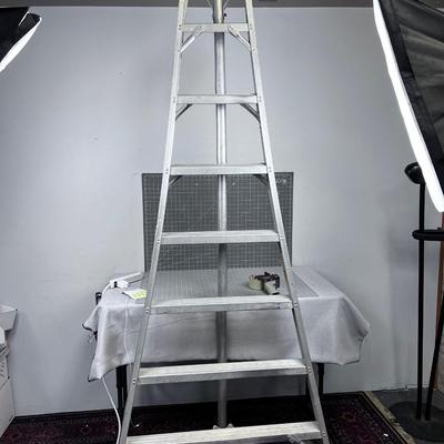 Tree Ladder or Fruit Ladder - 8 Foot 