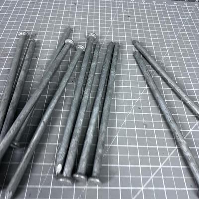 10 Inch Spikes 