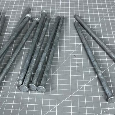 10 Inch Spikes 