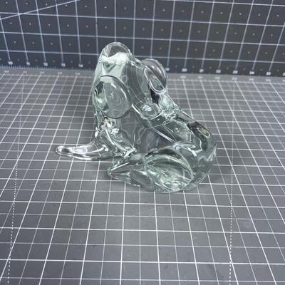 Awesome LUCKY Crystal Bullfrog