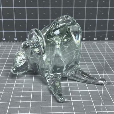 Awesome LUCKY Crystal Bullfrog