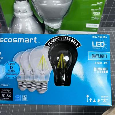 Light Bulb Lot, LED and Flood Lights