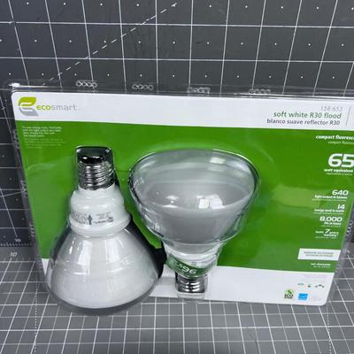 Light Bulb Lot, LED and Flood Lights
