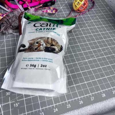 Kitty Toys and Litter Pellets 