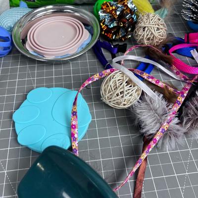 Kitty Toys and Litter Pellets 