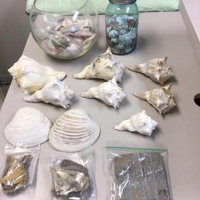 Sea Shell Lot With Fish Bowl and Canning Jar of Stones