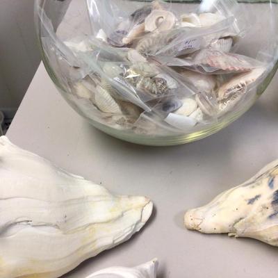 Sea Shell Lot With Fish Bowl and Canning Jar of Stones