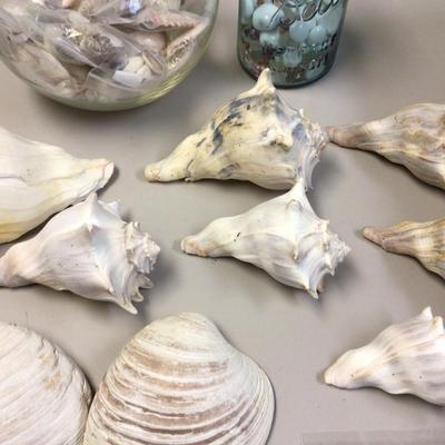 Sea Shell Lot With Fish Bowl and Canning Jar of Stones
