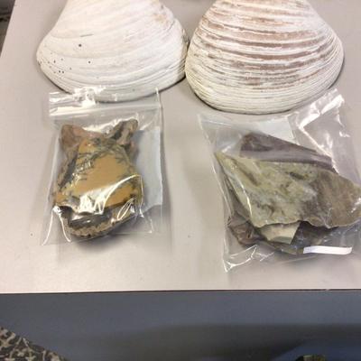 Sea Shell Lot With Fish Bowl and Canning Jar of Stones