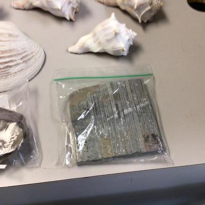 Sea Shell Lot With Fish Bowl and Canning Jar of Stones