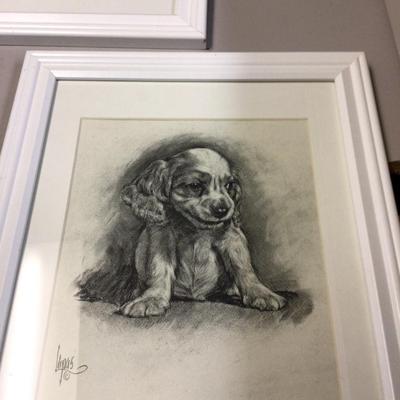 Cocker Spaniel Puppy Picture Lot