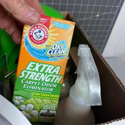 Box of Cleaning Stuff 