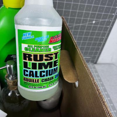 Box of Cleaning Stuff 