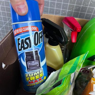 Box of Cleaning Stuff 
