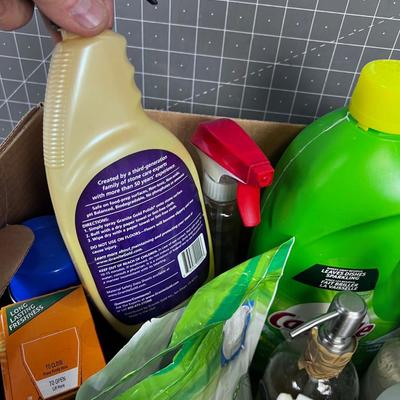 Box of Cleaning Stuff 