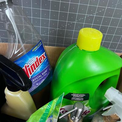 Box of Cleaning Stuff 
