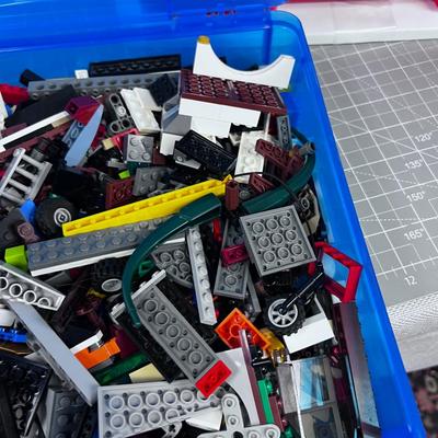 NICE LITTLE Keeper Organizer with Several bins of LEGOS 