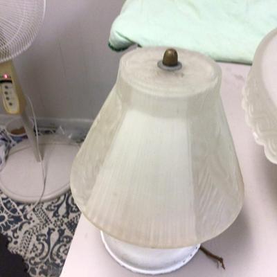 Wall and Ceiling Light Fixture With Glass Shades
