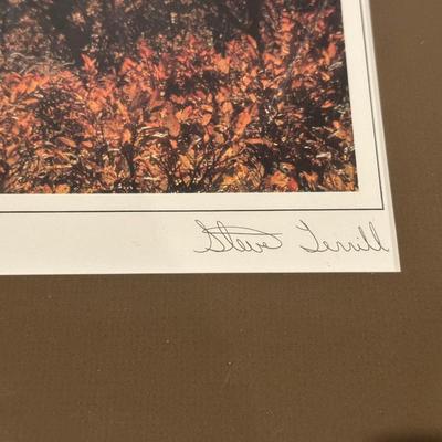 FRAMED PHOTOS BY STEVE TERRILL