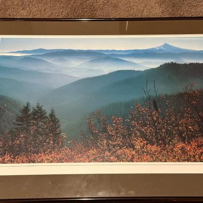FRAMED PHOTOS BY STEVE TERRILL