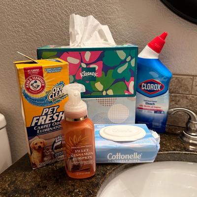 RESTROOM ENSEMBLE, KLEENEX, CLEANING CHEMICALS, RUG AND MORE