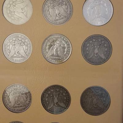 Morgan silver dollar book