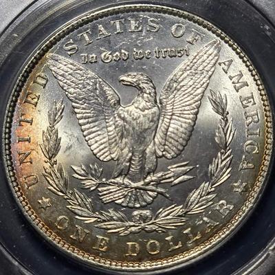 Beautiful toned Morgan silver dollar