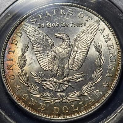 Beautiful toned Morgan silver dollar