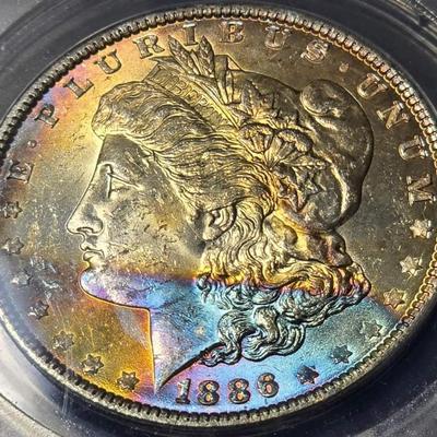 Beautiful toned Morgan silver dollar