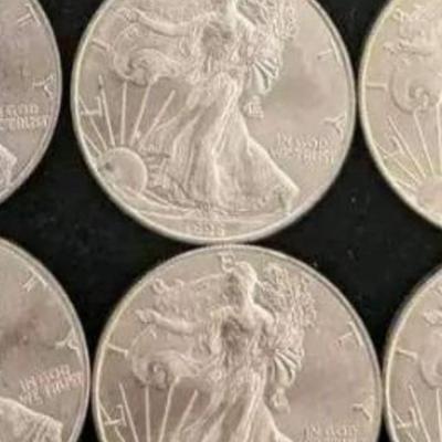 20 1996 silver American silver eagles