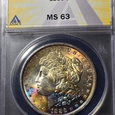 Toned Morgan silver dollar