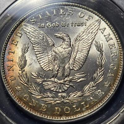 Toned Morgan silver dollar