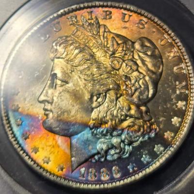 Toned Morgan silver dollar